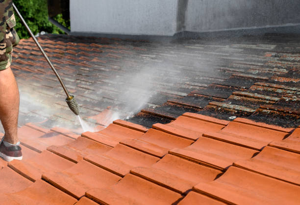 Best Pressure Washing Brick  in Labelle, FL